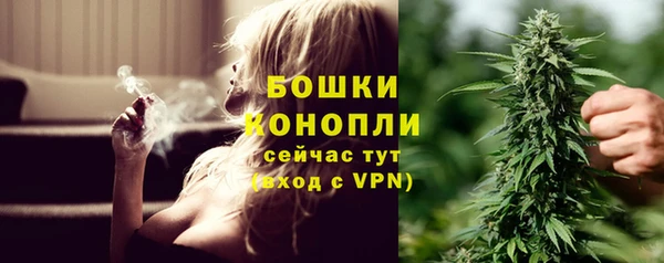 каннабис Бердск