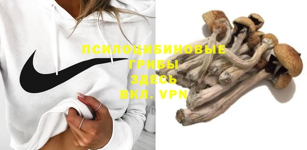 марки lsd Абаза
