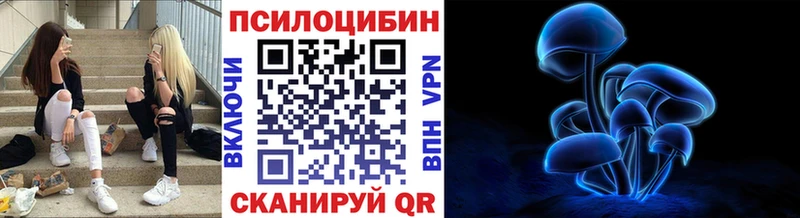 Псилоцибиновые грибы Psilocybine cubensis  Щёлково 